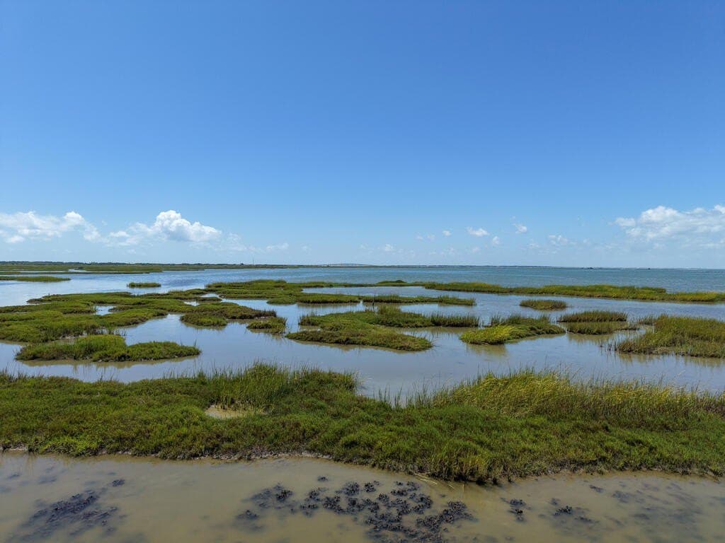 0.2 acres in Texas County - photo 4