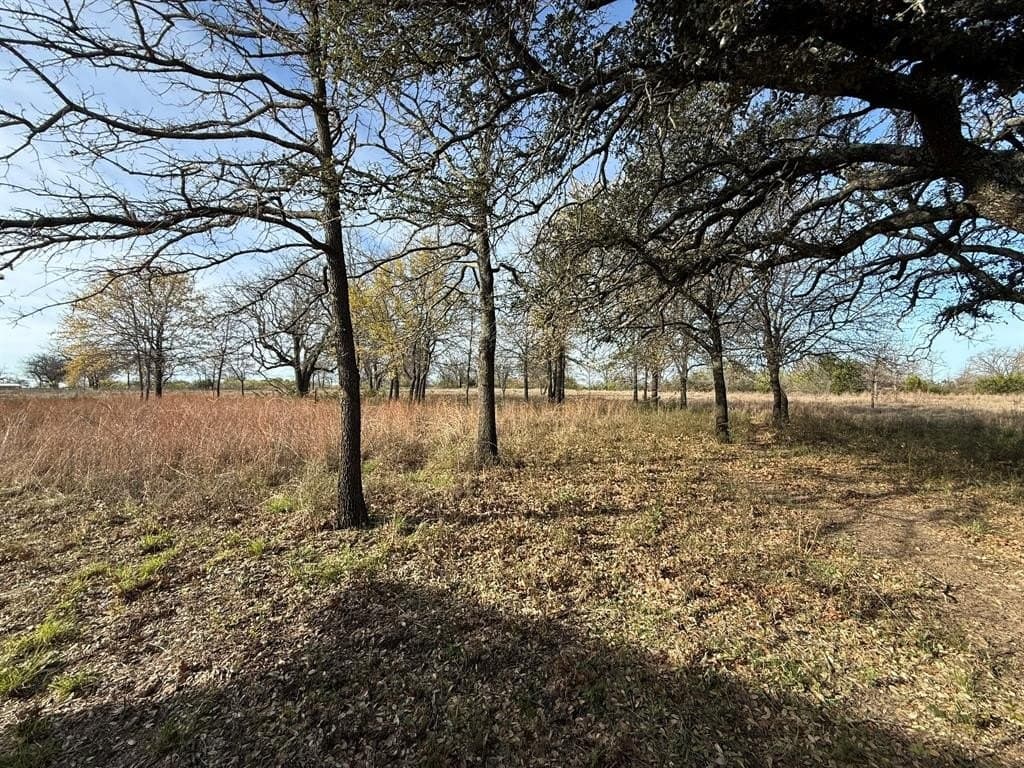 90.94 acres in Hood County gallery image 2