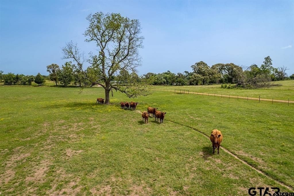 10 acres in Henderson County - photo 22