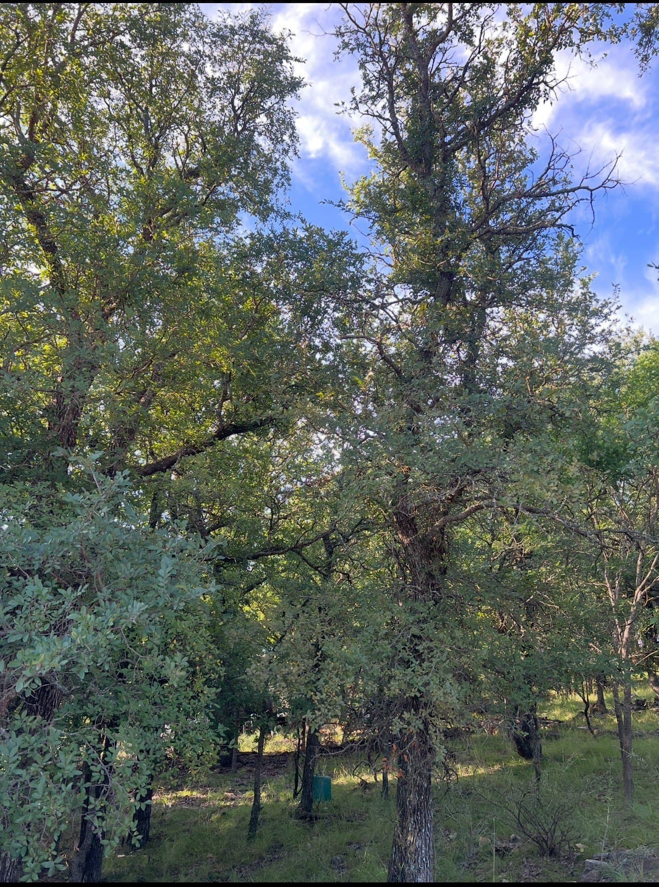 0.05 acres in Brown County