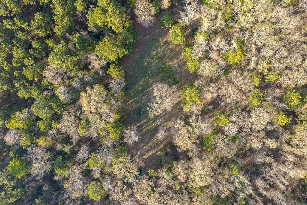 96.35 acres in Cherokee County featured view