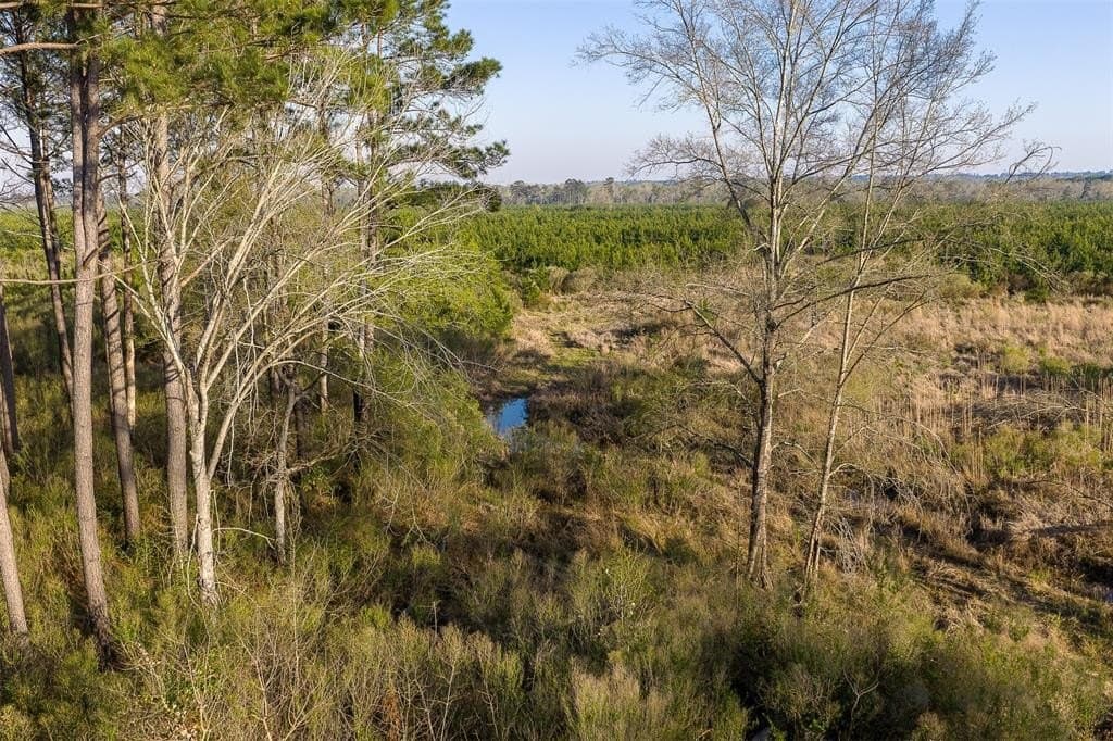 96.35 acres in Cherokee County gallery image 4