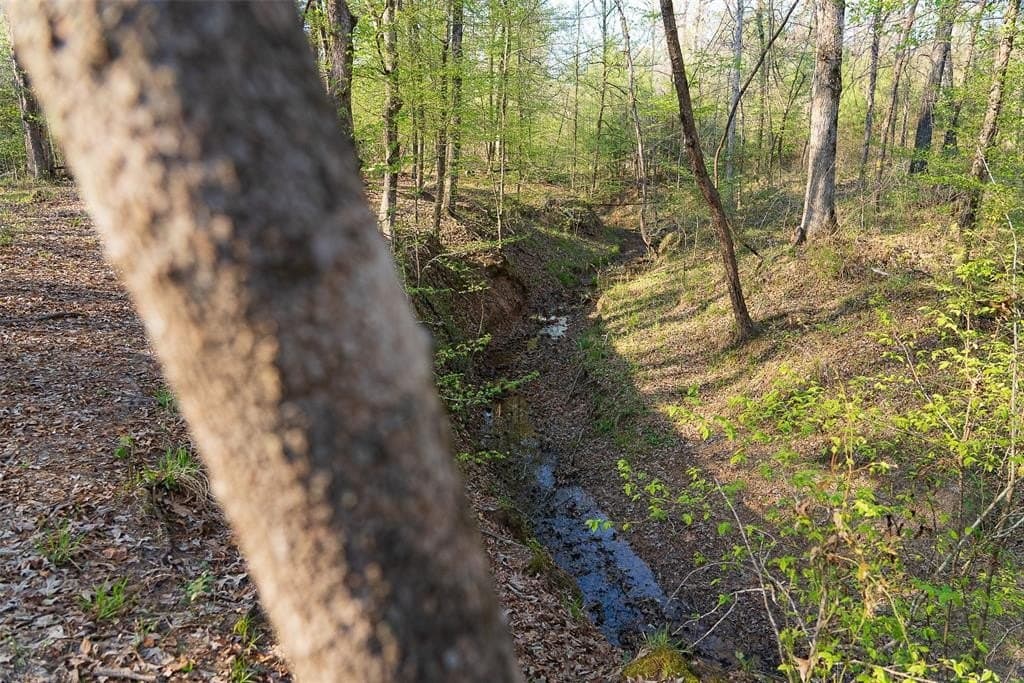 96.35 acres in Cherokee County