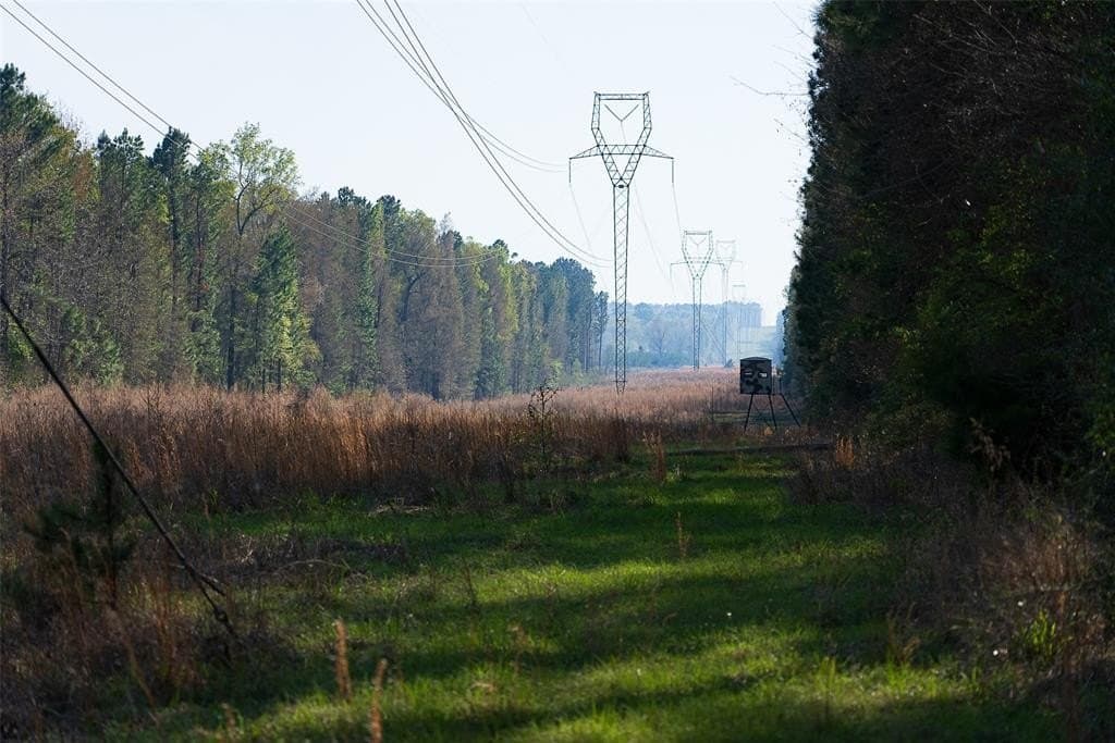 96.35 acres in Cherokee County gallery image 2