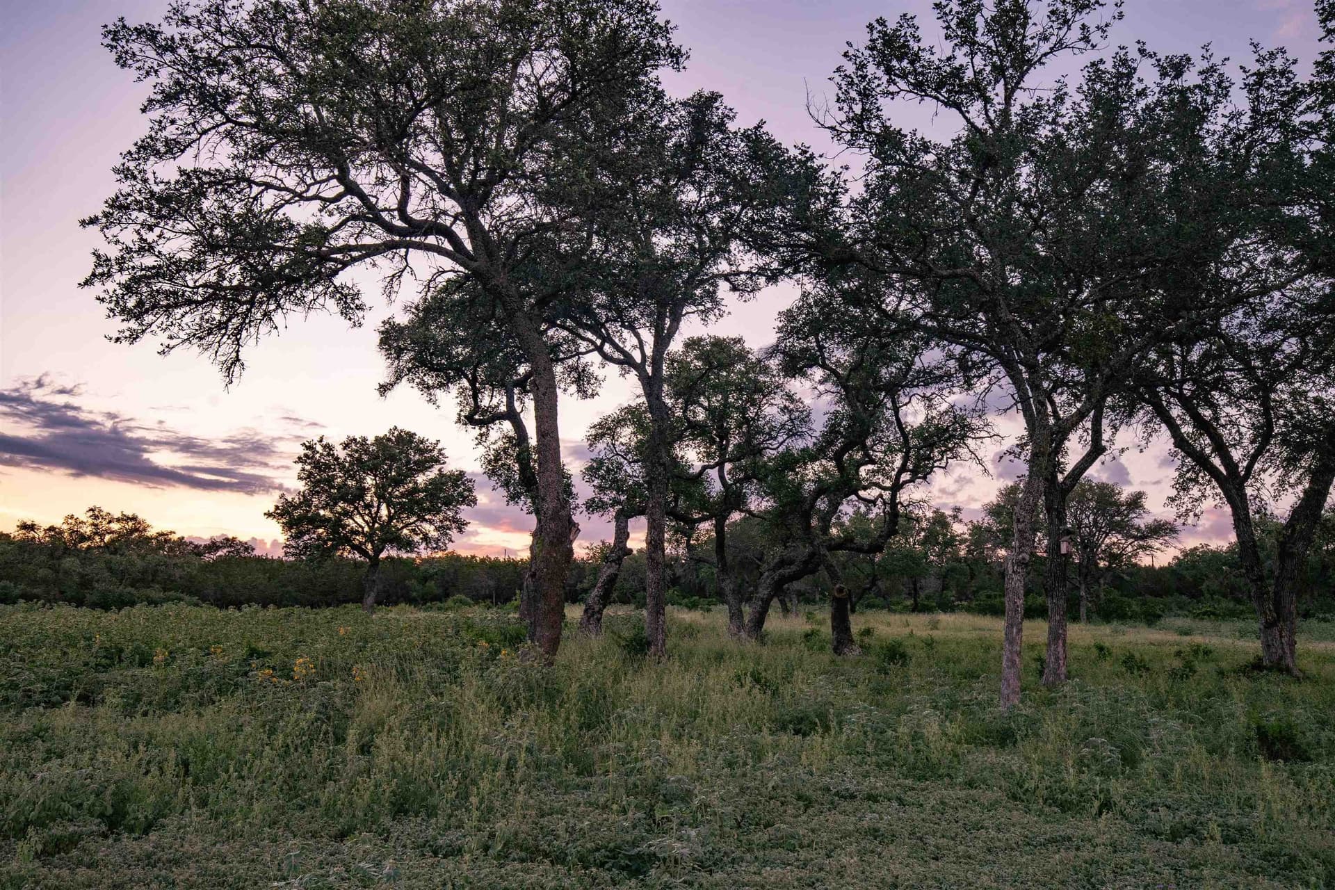 15.1 acres in Burnet County - photo 13