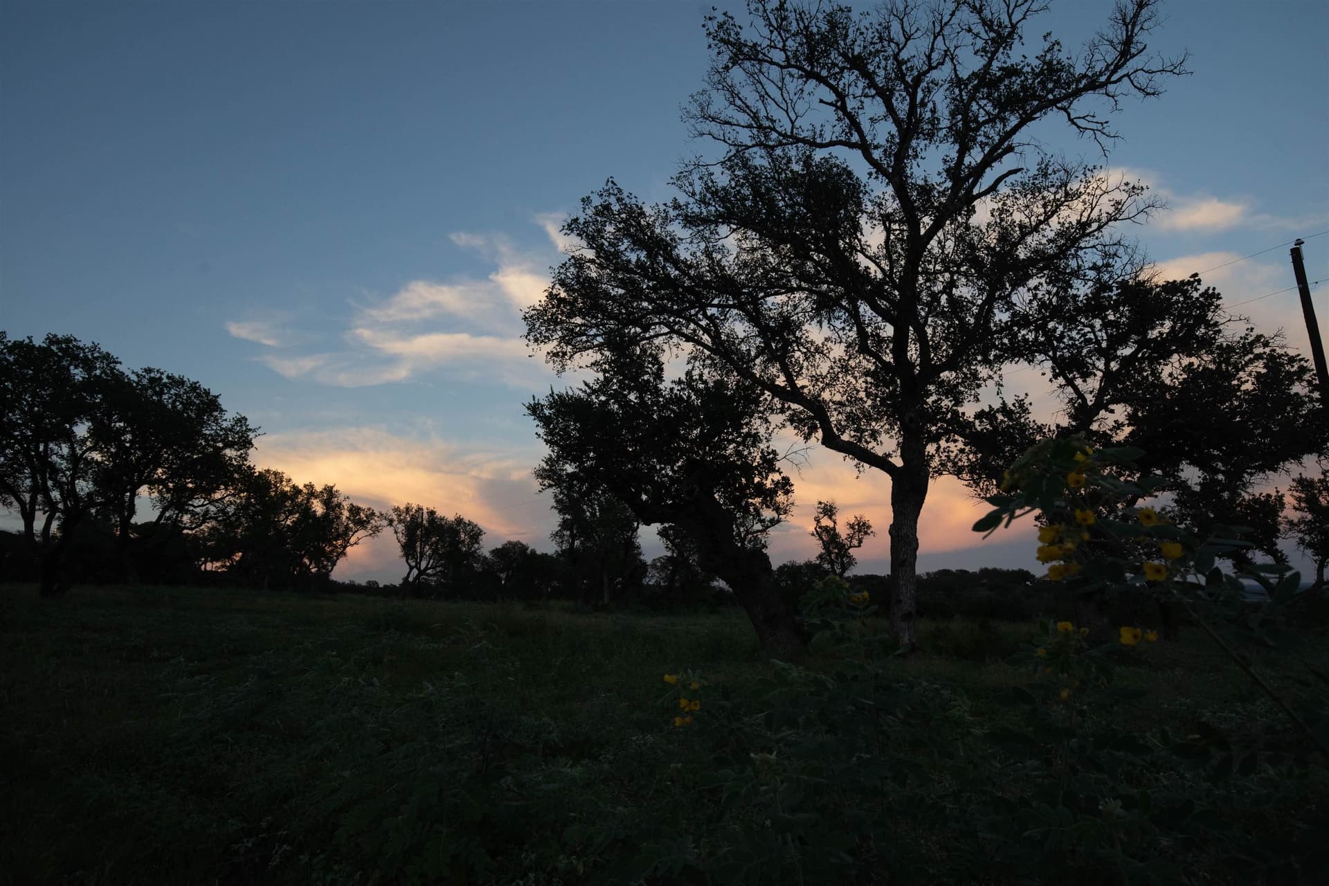15.1 acres in Burnet County - photo 11