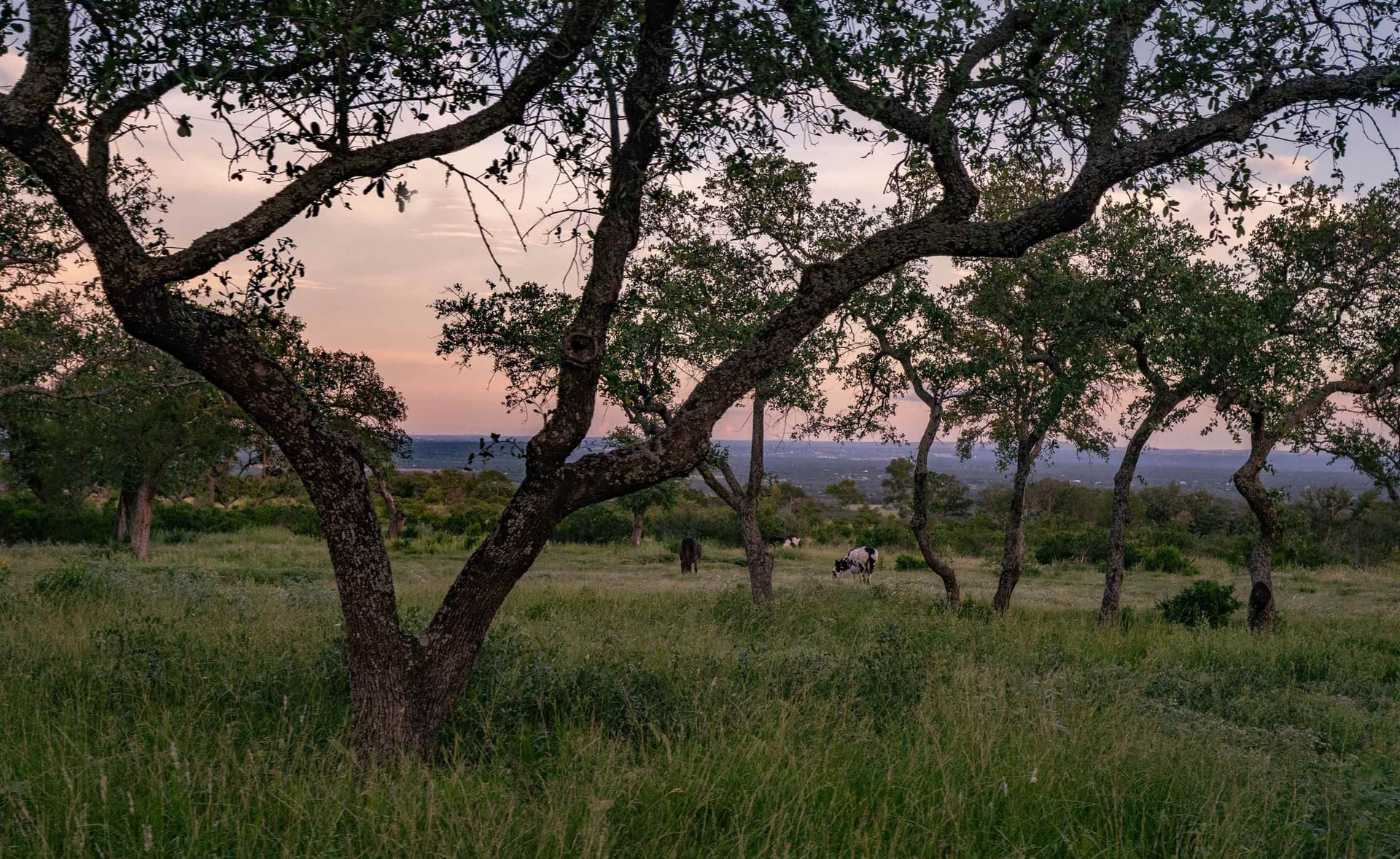 15.1 acres in Burnet County - photo 14