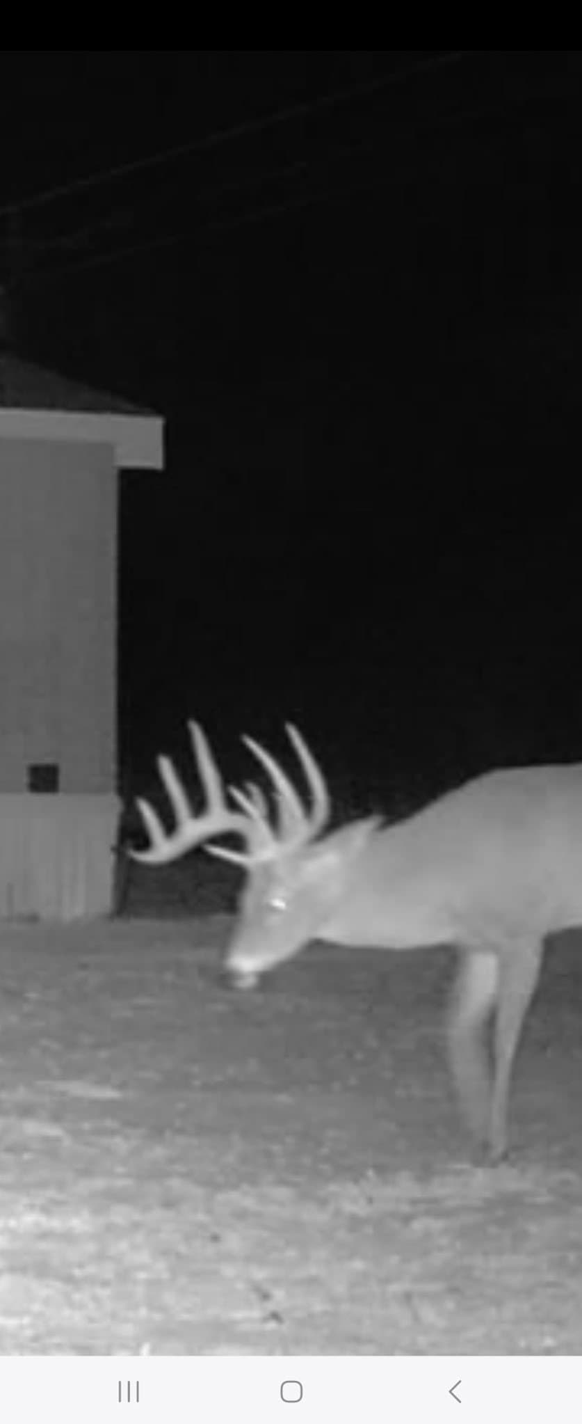33.9 acres in Haskell County - photo 37