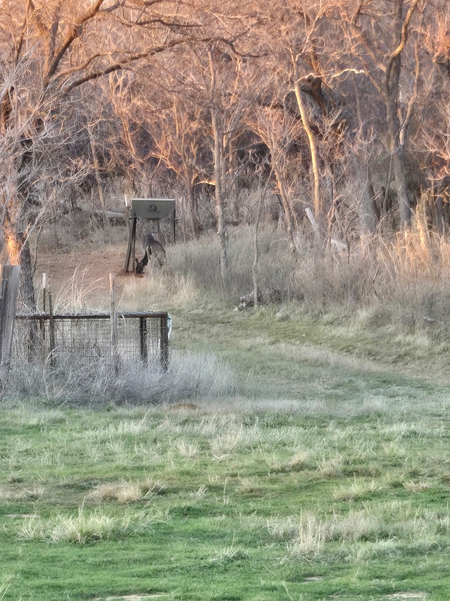 33.9 acres in Haskell County - photo 32