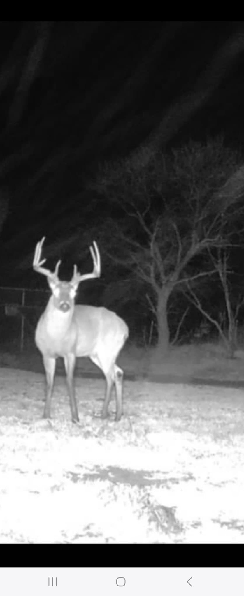 33.9 acres in Haskell County - photo 39