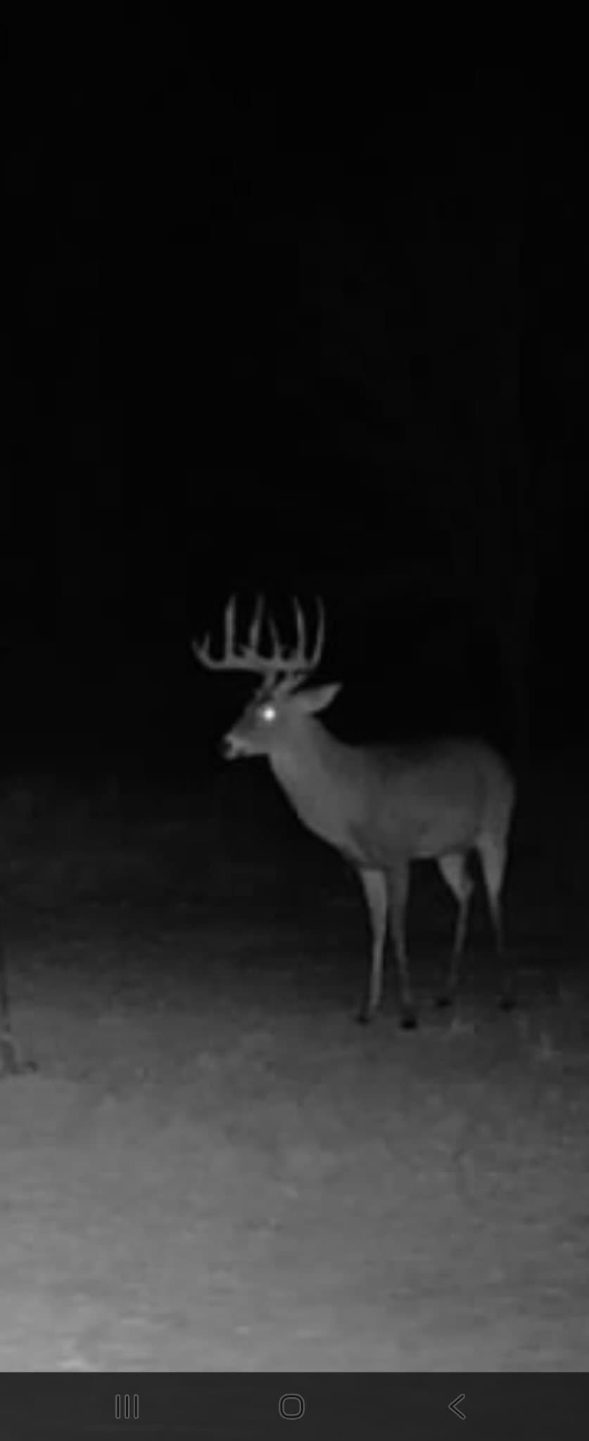 33.9 acres in Haskell County - photo 31