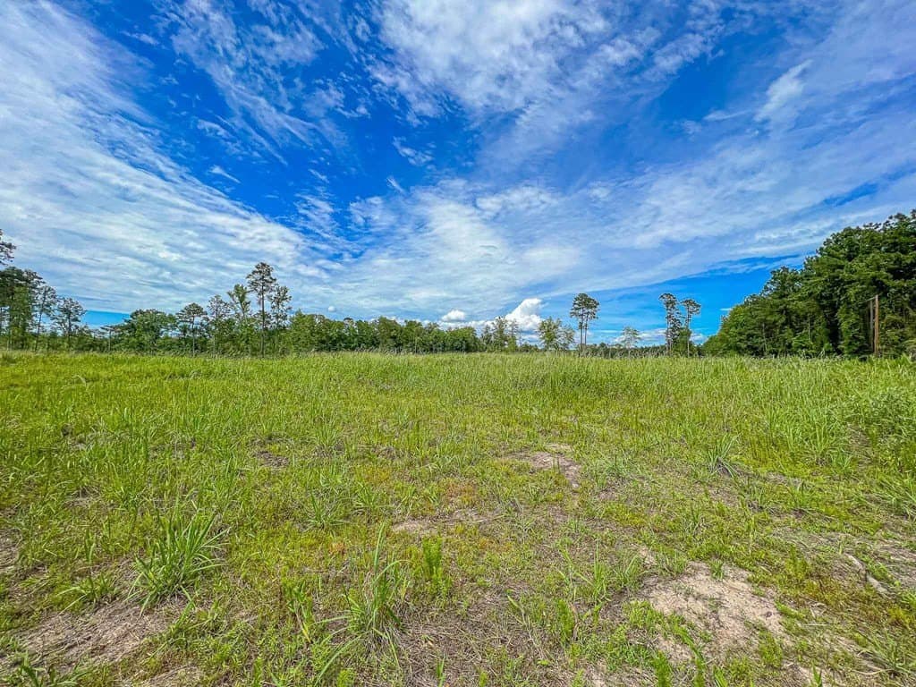 17 acres in Texas County - photo 6
