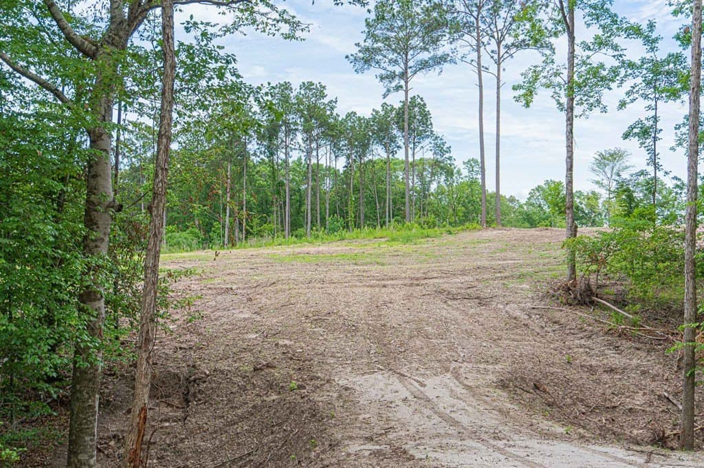 17 acres in Texas County featured view
