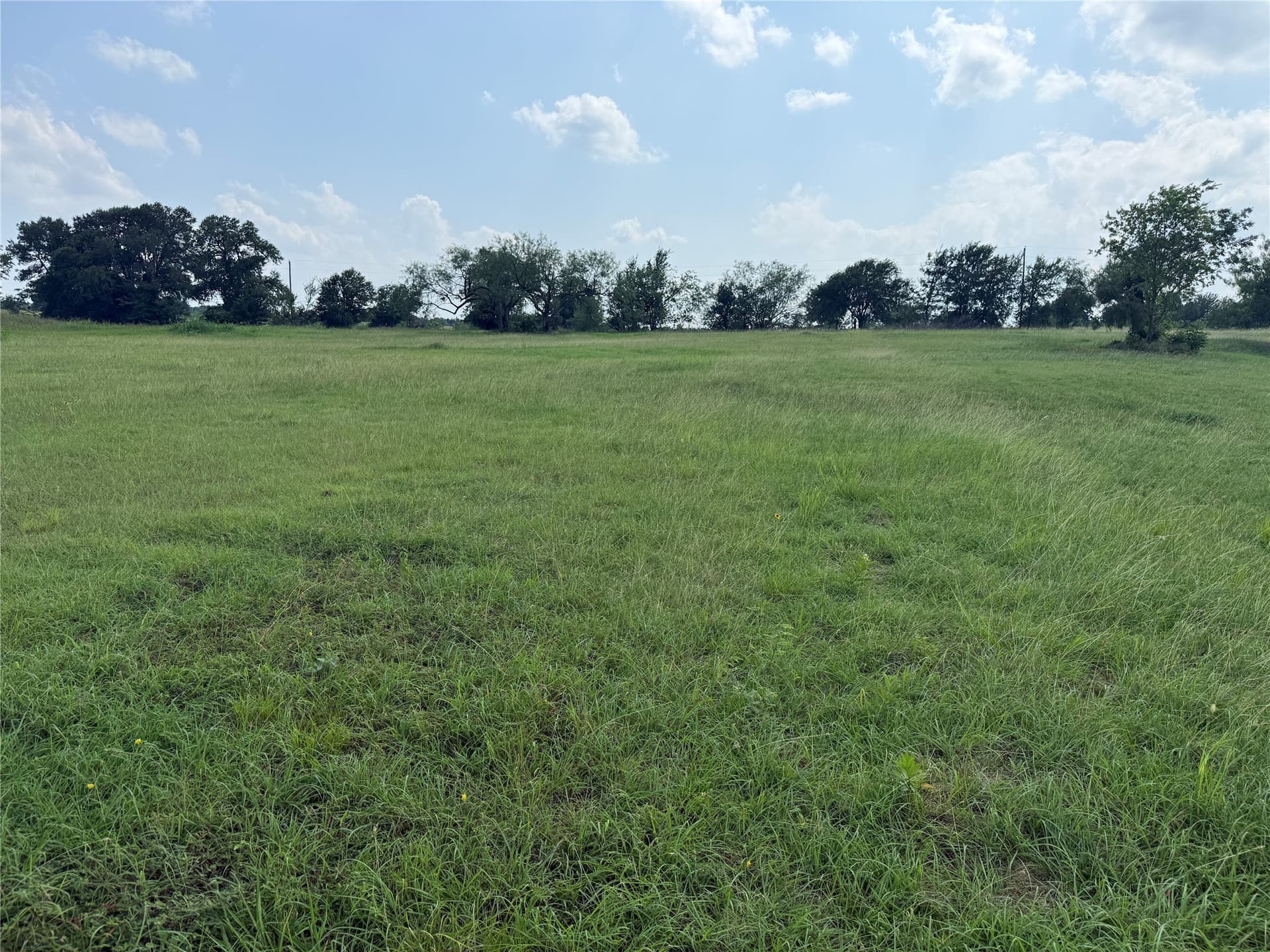 1 acres in Navarro County - photo 7