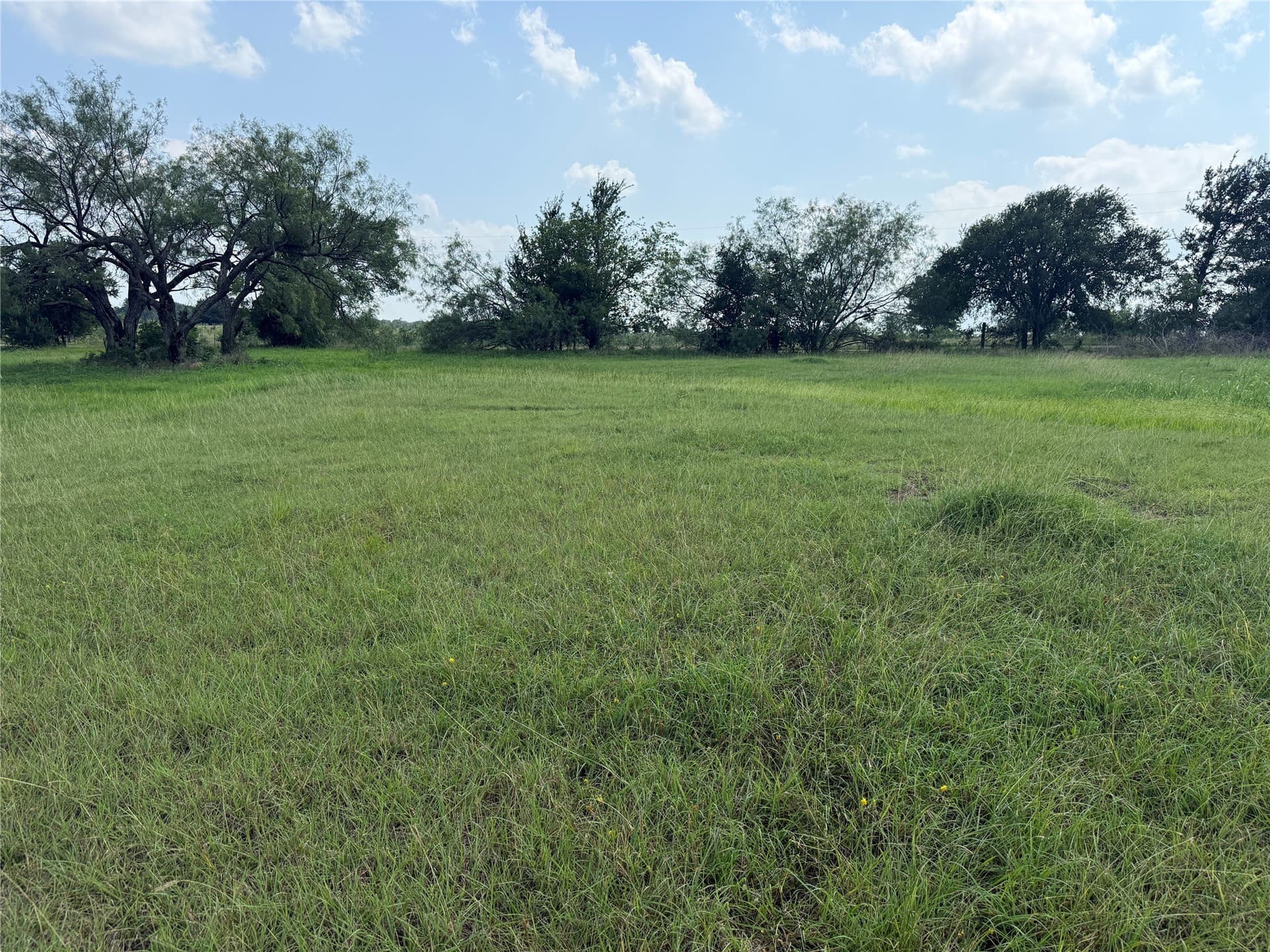 1 acres in Navarro County - photo 11