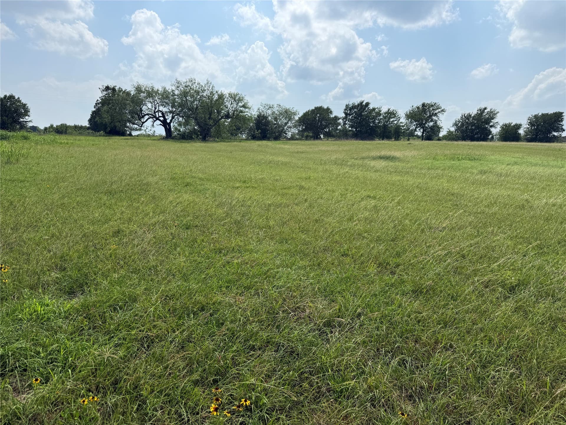 1 acres in Navarro County - photo 27