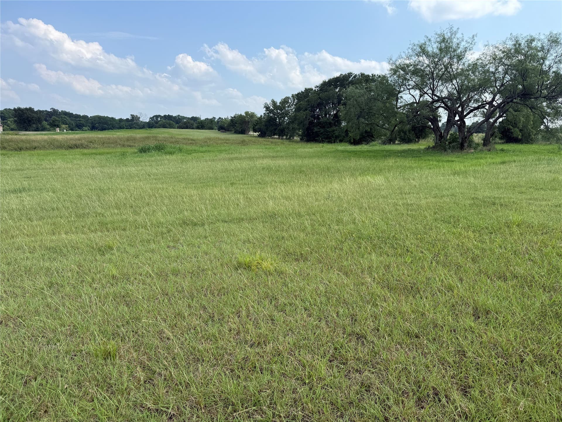 1 acres in Navarro County - photo 19