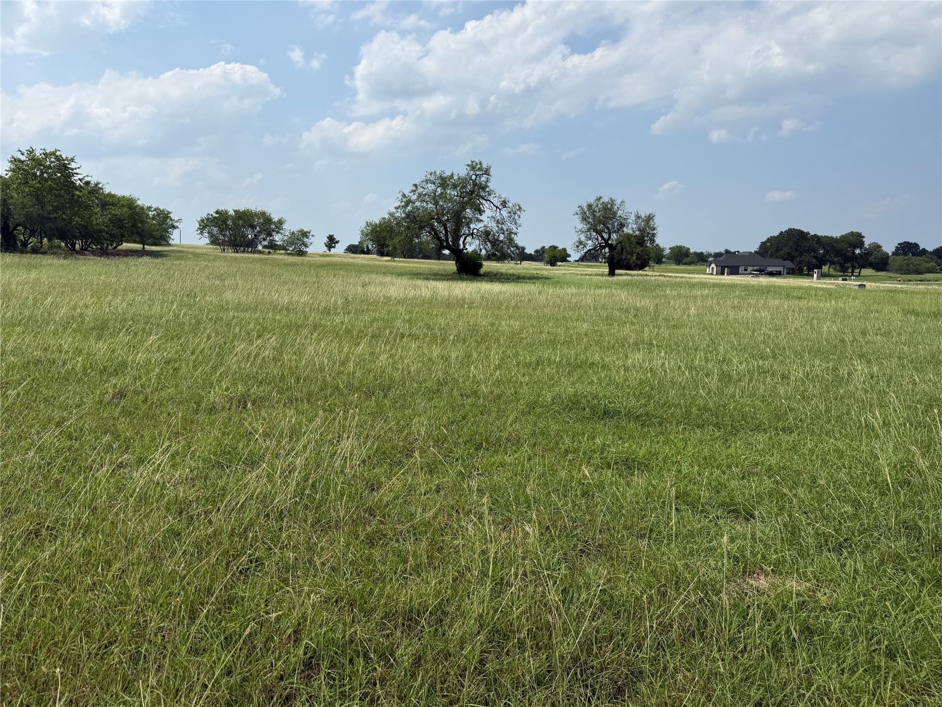 1 acres in Navarro County - photo 9