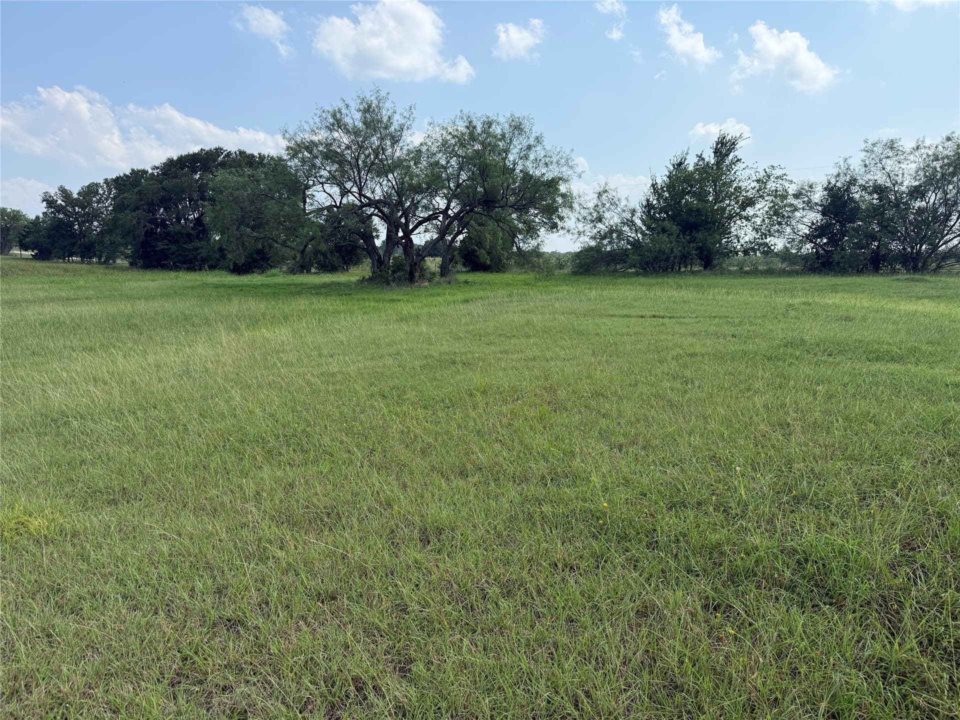 1 acres in Navarro County - photo 12