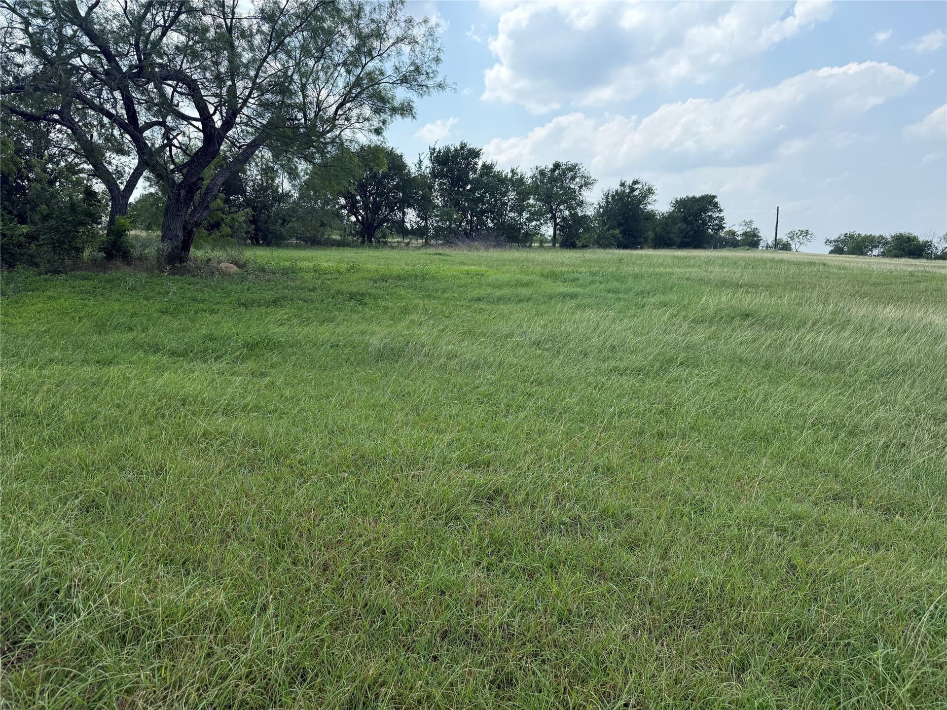 1 acres in Navarro County - photo 6