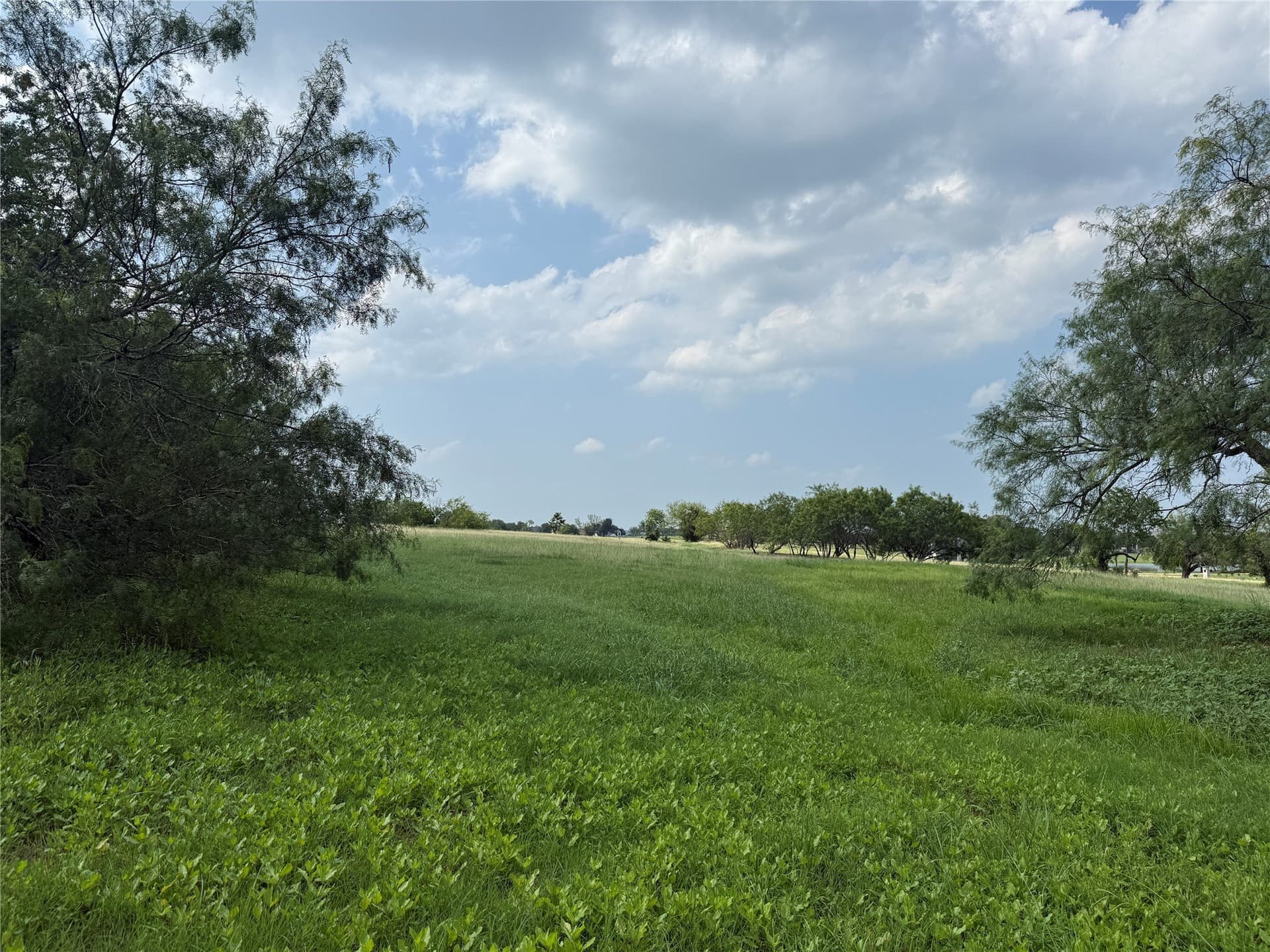 1 acres in Navarro County - photo 31