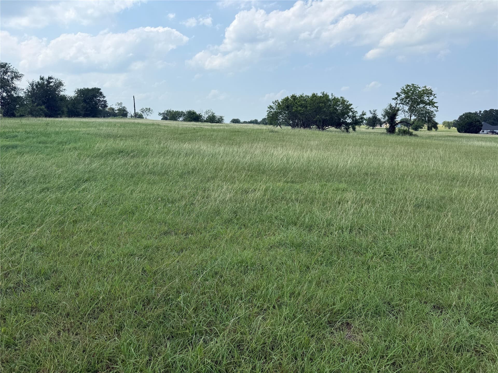 1 acres in Navarro County - photo 18