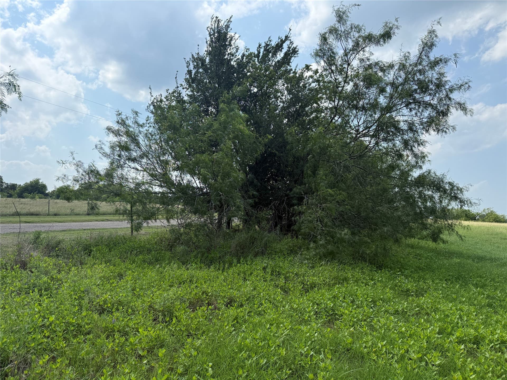 1 acres in Navarro County - photo 14