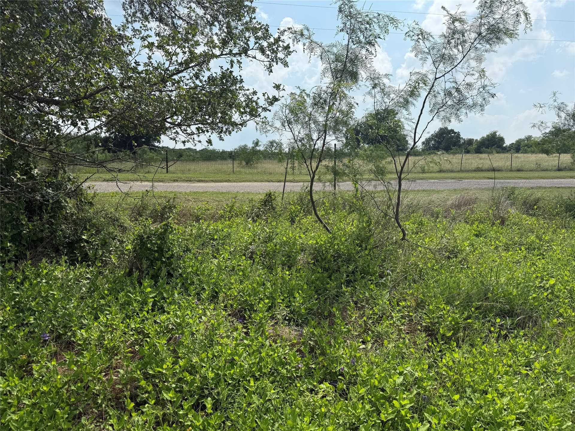 1 acres in Navarro County - photo 10