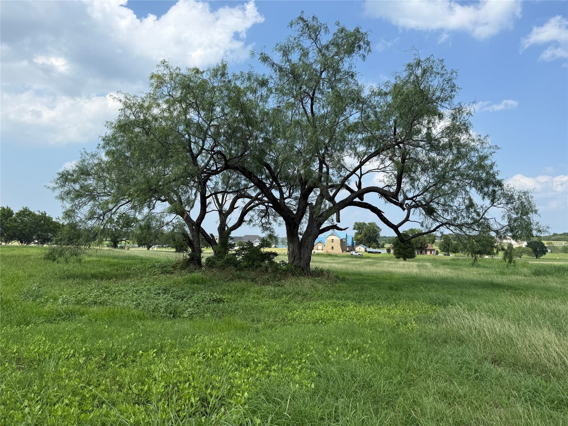 1 acres in Navarro County - photo 30