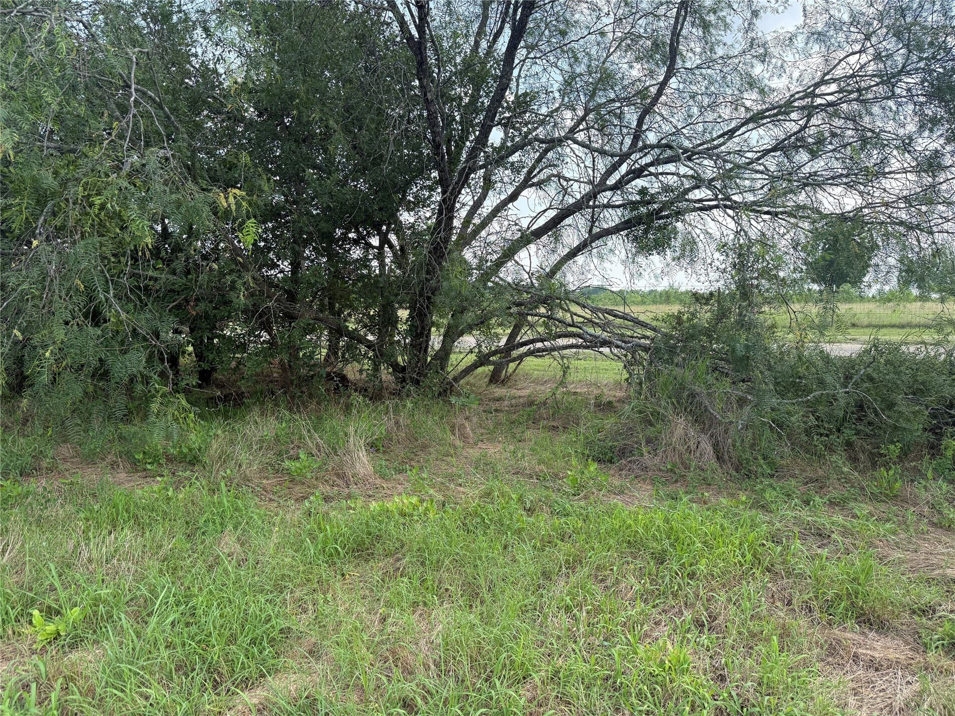 1 acres in Navarro County - photo 32