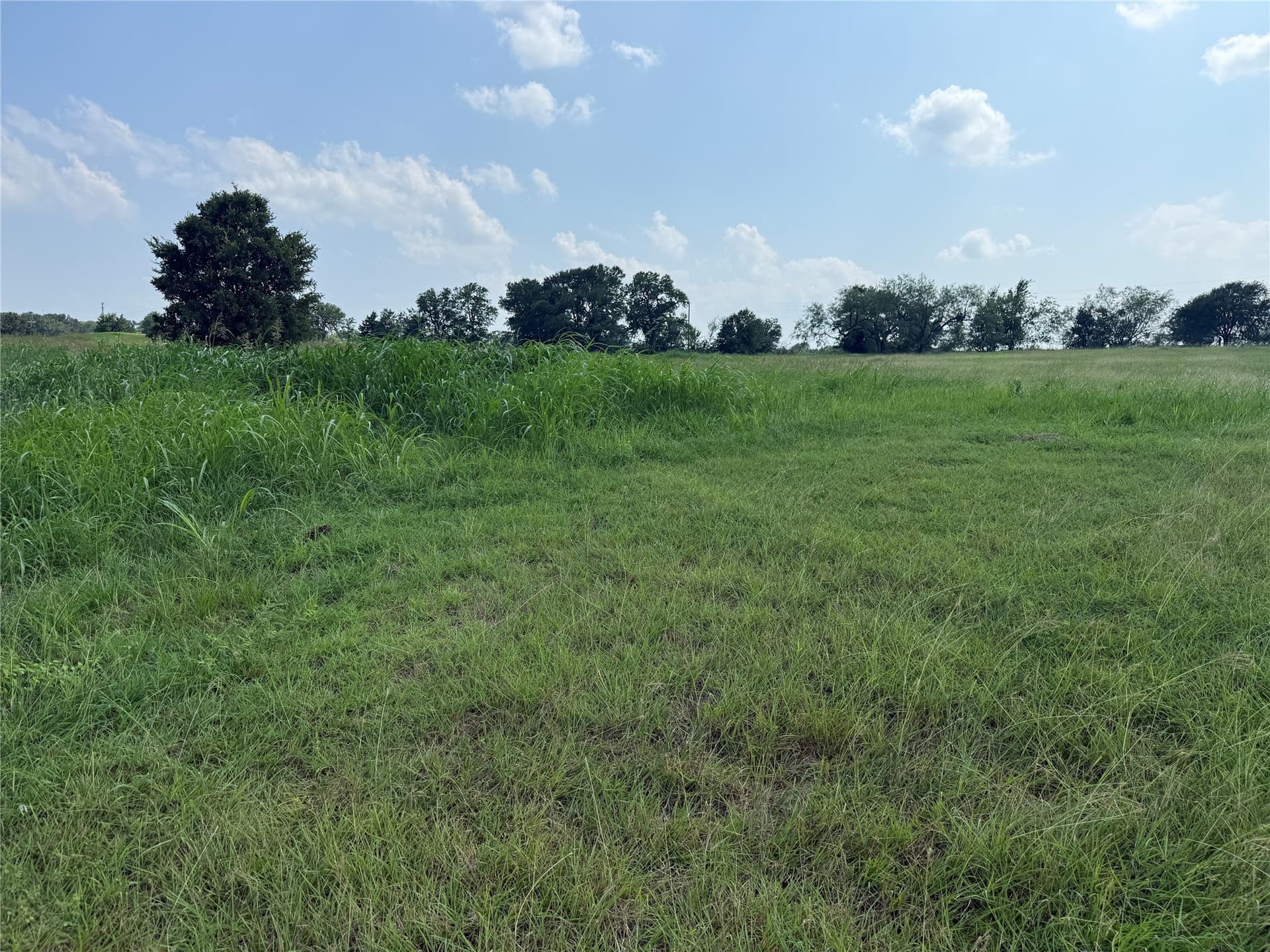 1 acres in Navarro County - photo 26