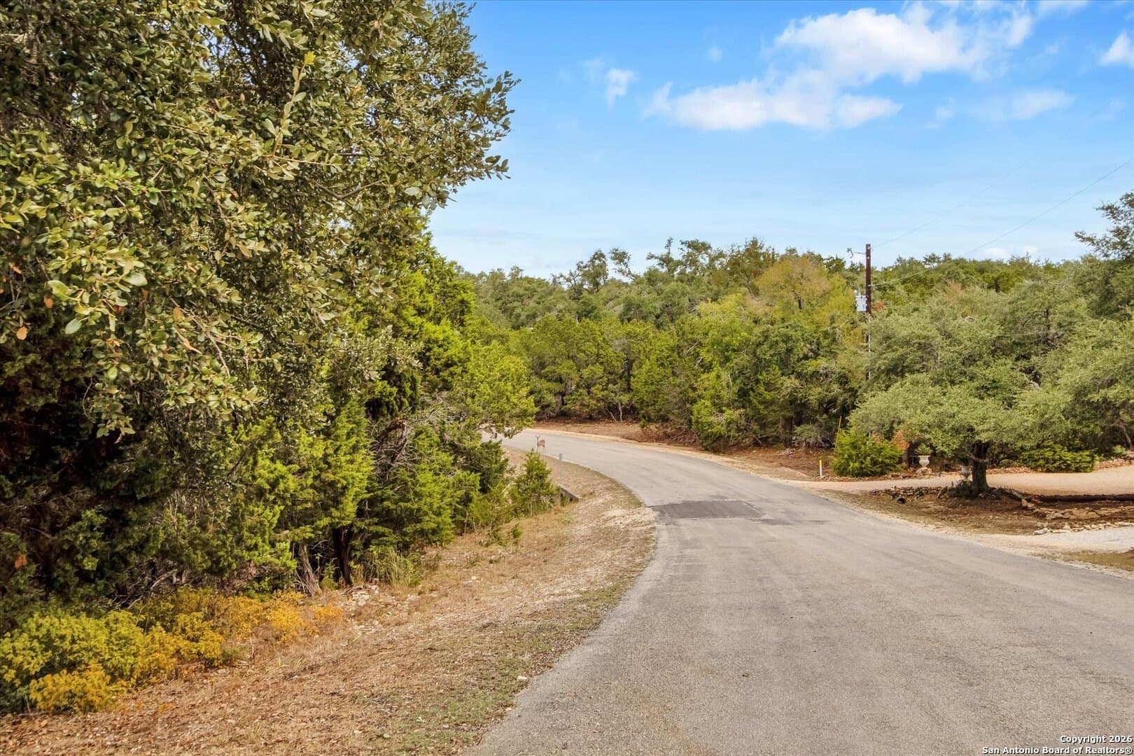 0.34 acres in Comal County - photo 26