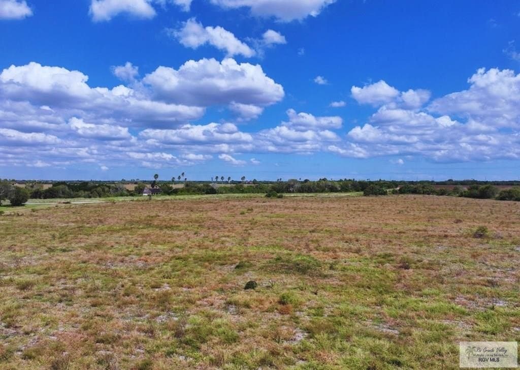 10.04 acres in CAMERON County - photo 7