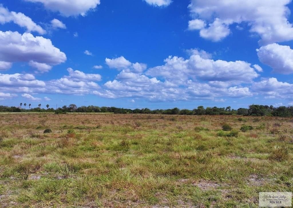 10.04 acres in CAMERON County - photo 8