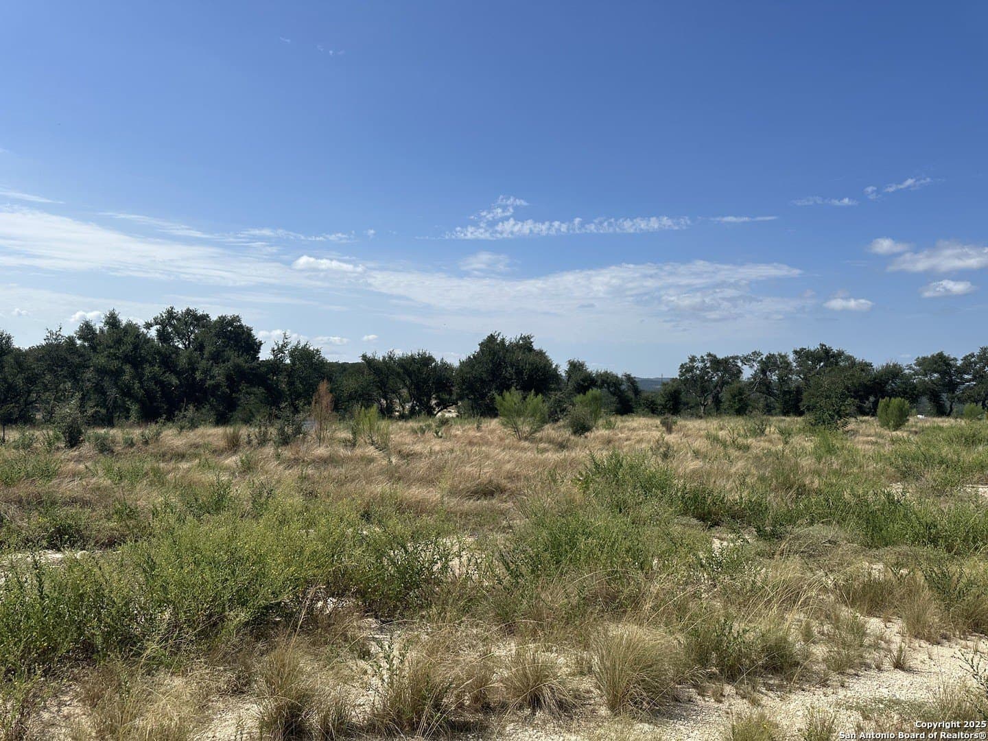 1.13 acres in Comal County gallery image 3
