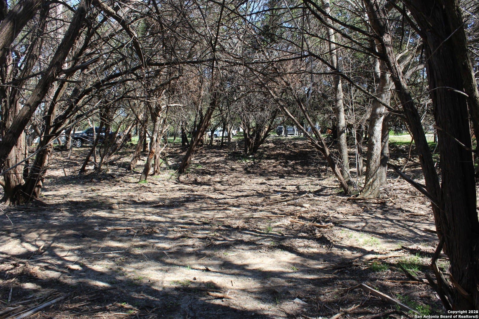 0.41 acres in Comal County gallery image 4