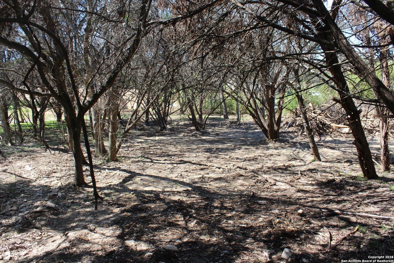 0.41 acres in Comal County featured view