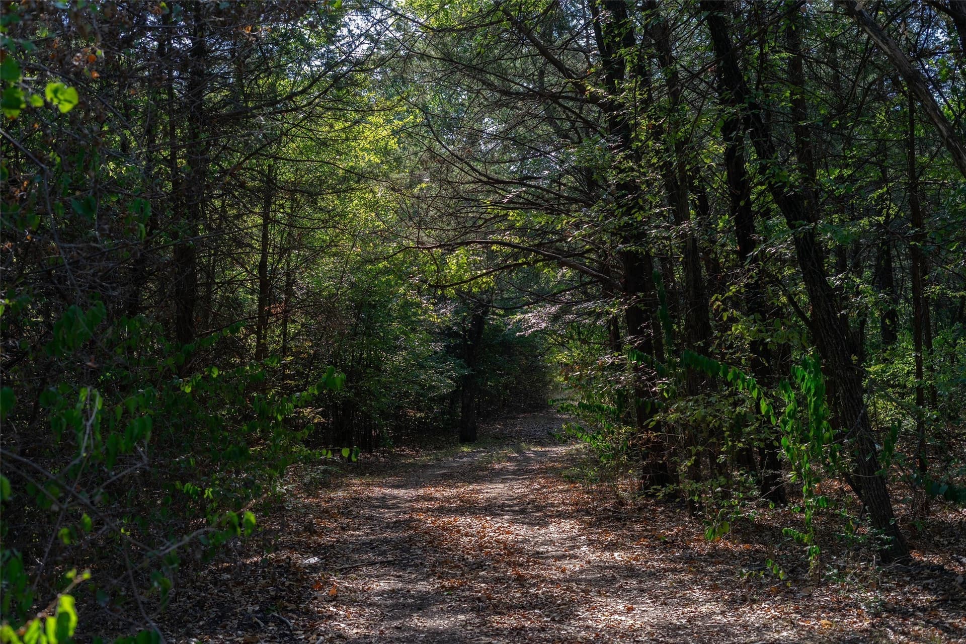 5 acres in Grayson County - photo 2
