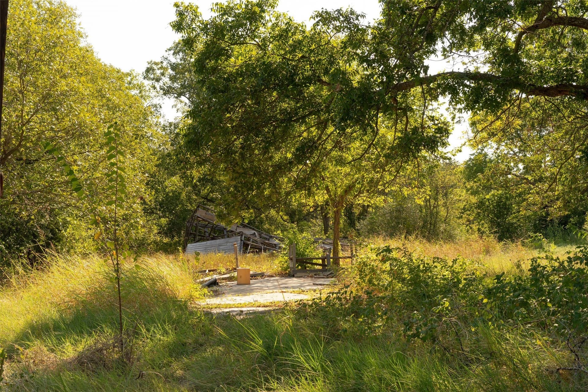 5 acres in Grayson County - photo 4