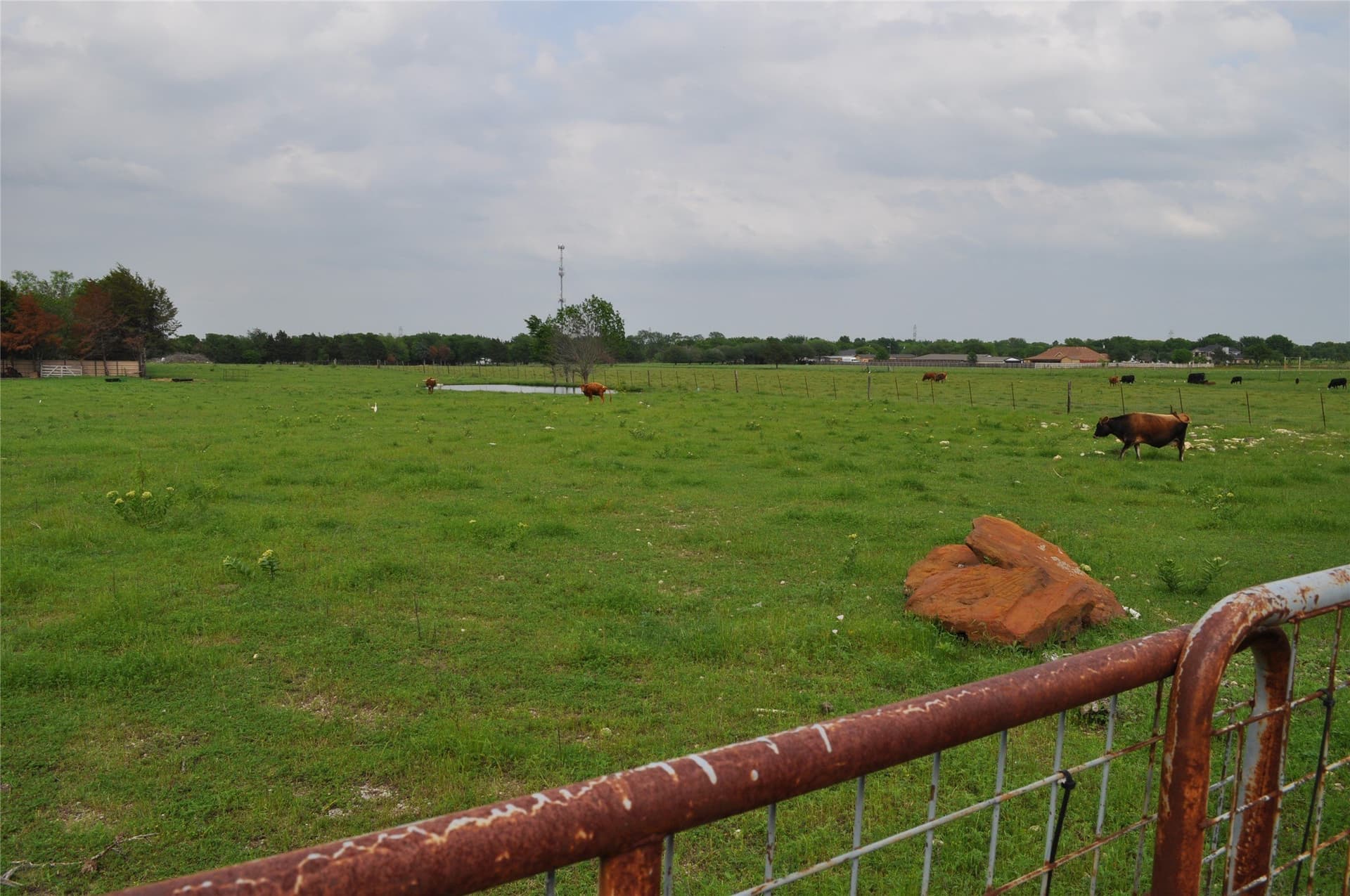 5 acres in Dallas County - photo 3
