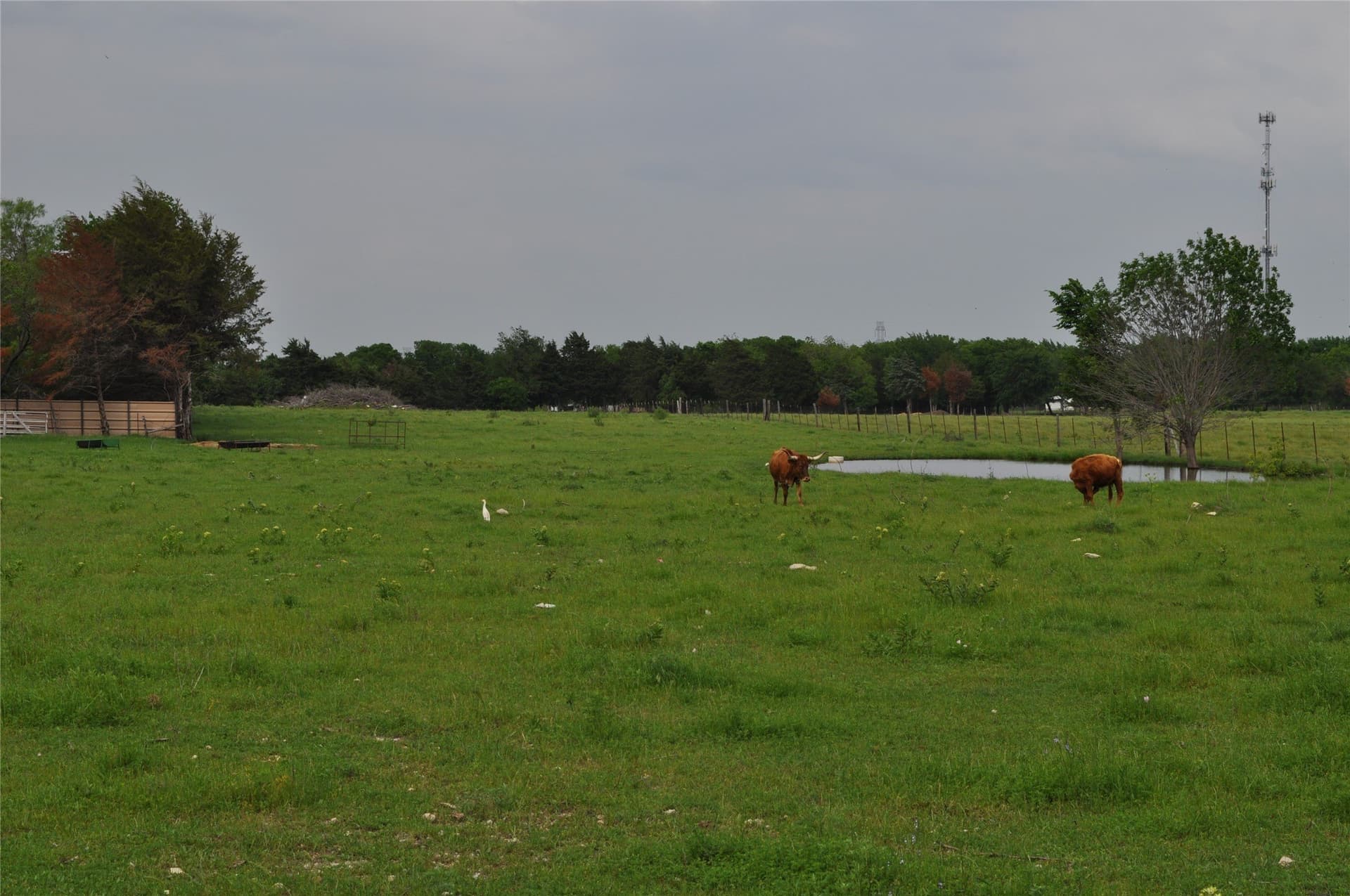 5 acres in Dallas County - photo 4