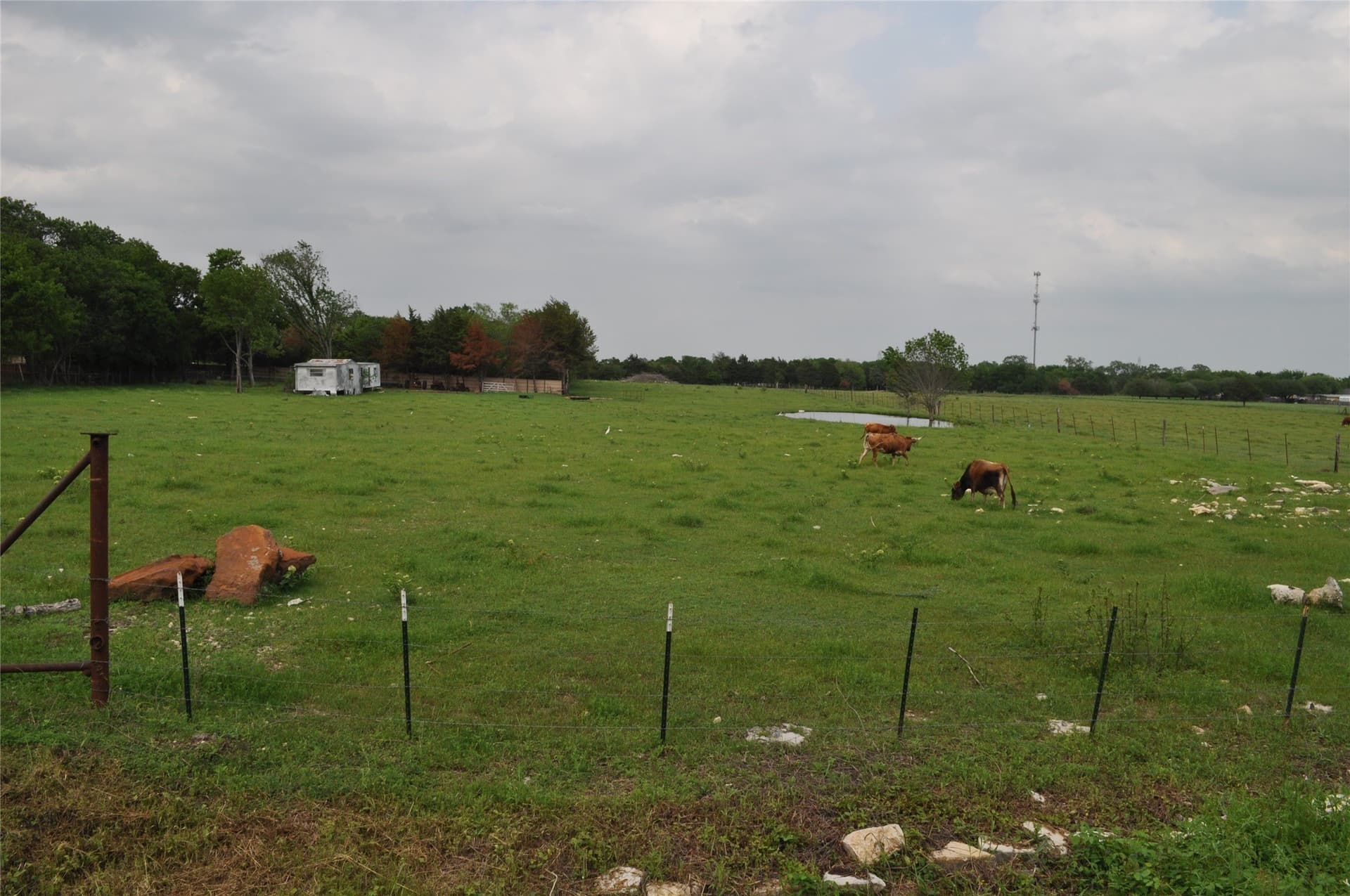 5 acres in Dallas County - photo 5