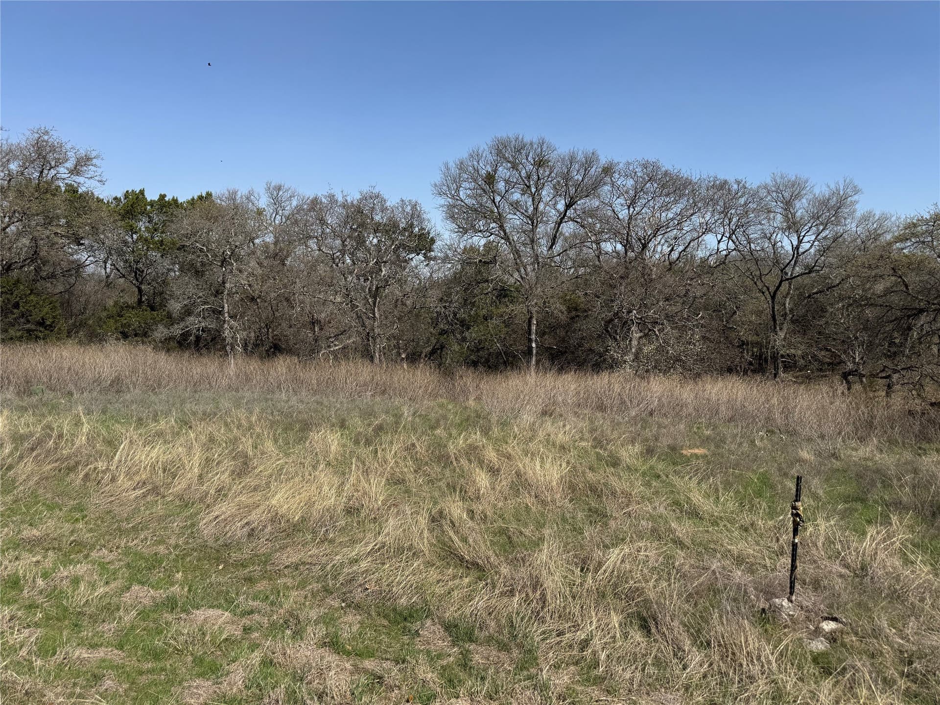 0.23 acres in Hill County - photo 5