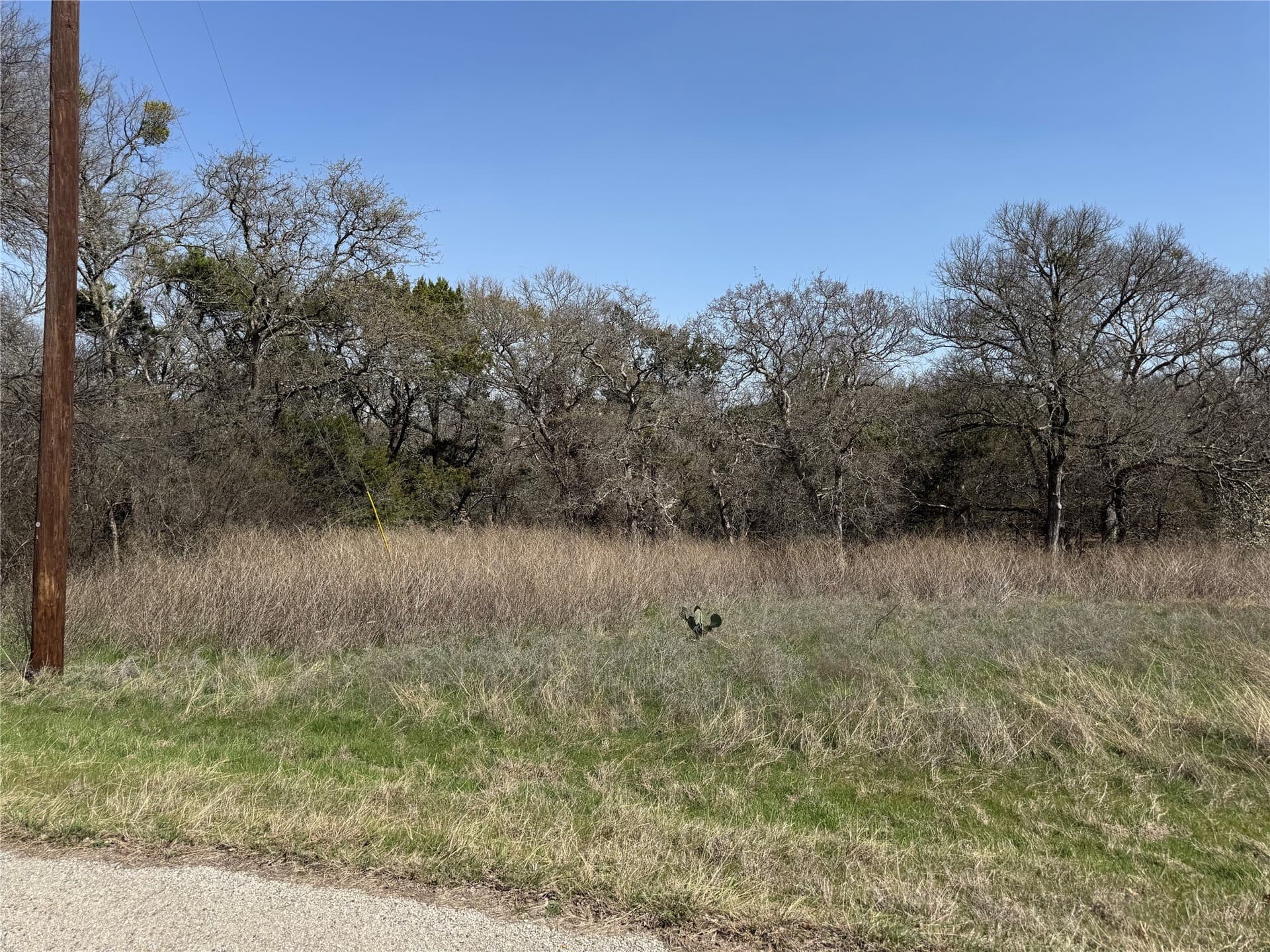 0.23 acres in Hill County - photo 2