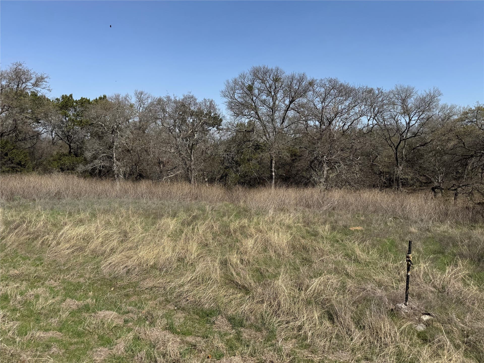 0.23 acres in Hill County - photo 4