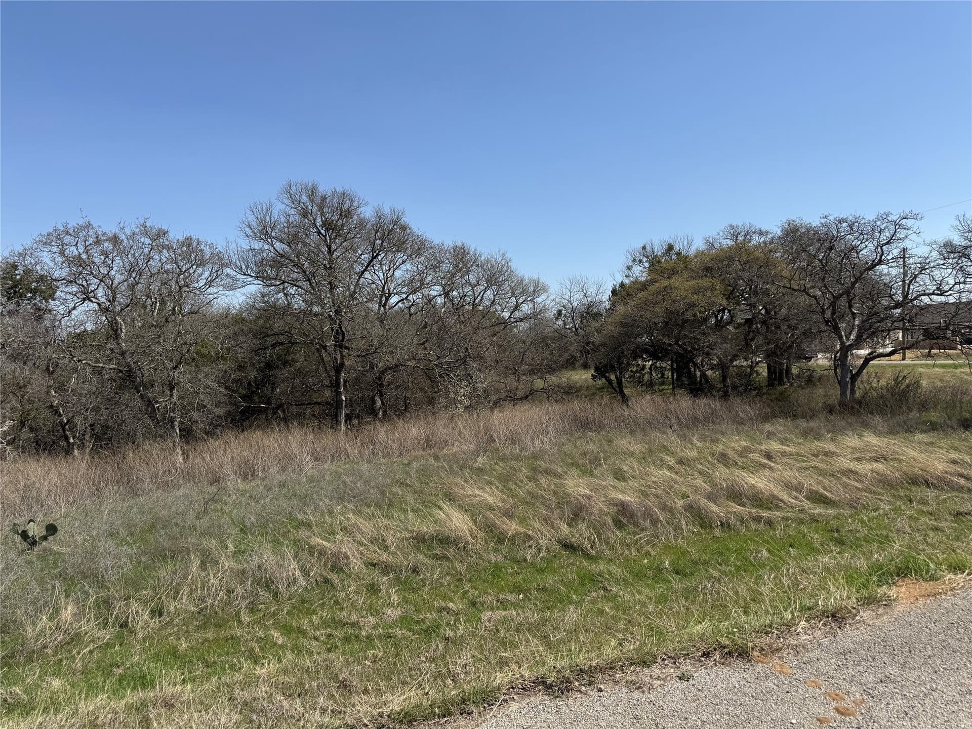 0.23 acres in Hill County - photo 3