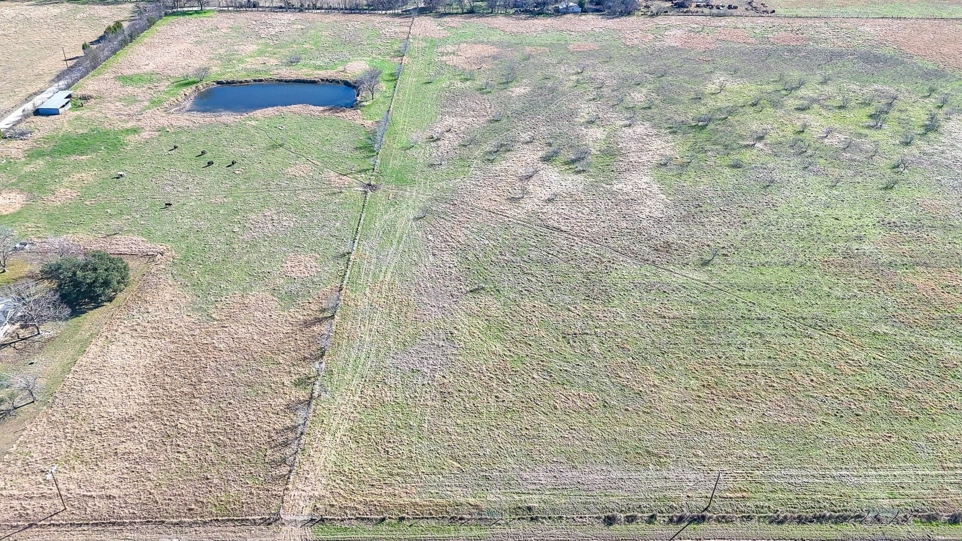 5.05 acres in Navarro County - photo 13
