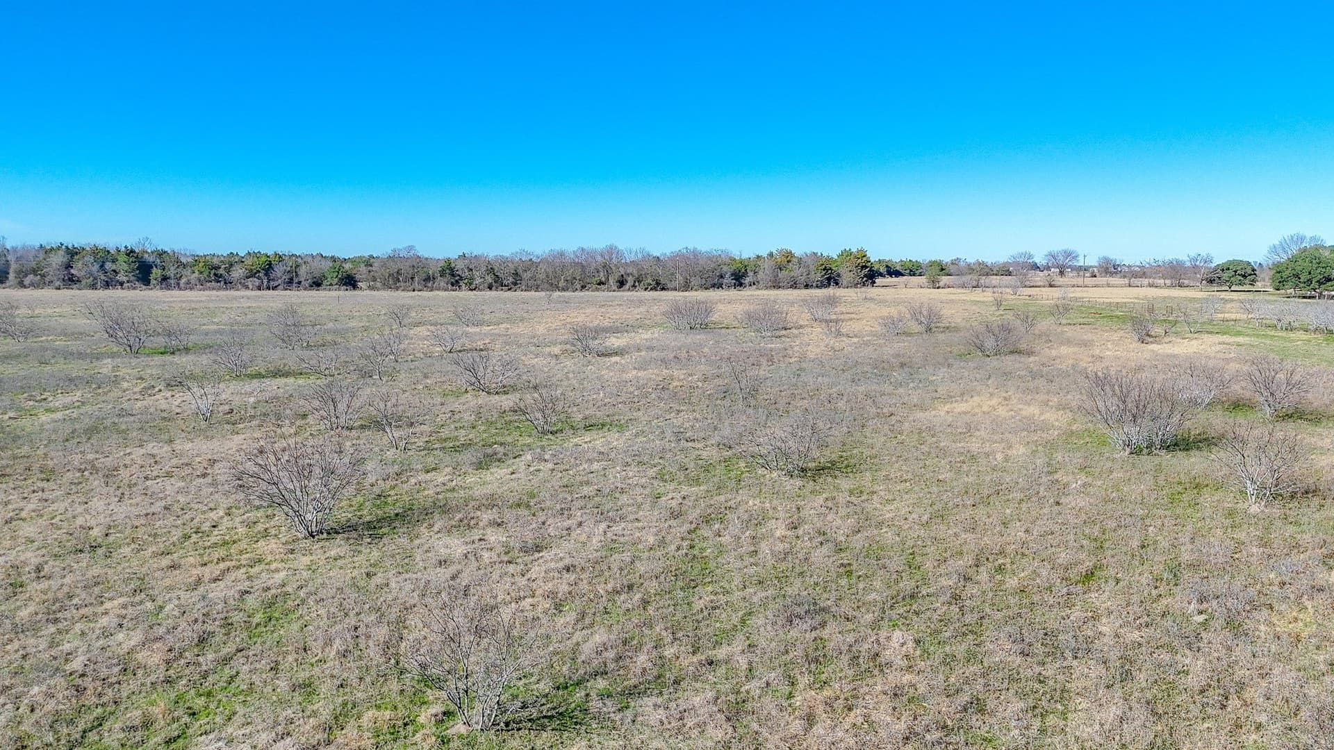 5.05 acres in Navarro County - photo 6