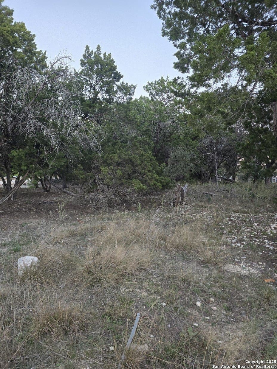 0.23 acres in Bandera County gallery image 3