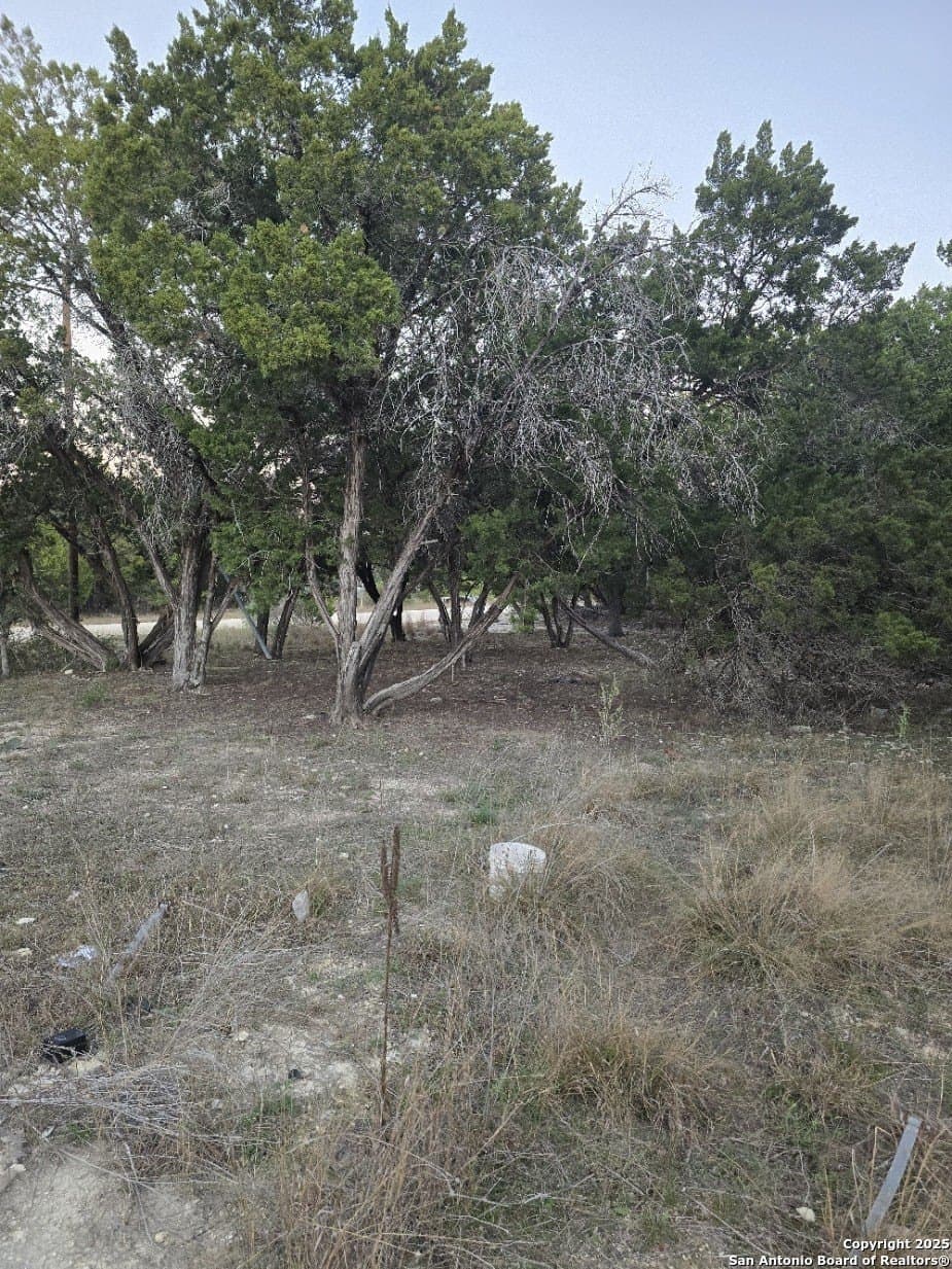 0.23 acres in Bandera County gallery image 4